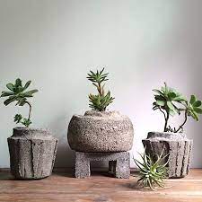 We have 200 guides on everything from. Img 8950 1 Jpg Wall Garden Indoor Cement Flower Pots Diy Cement Planters