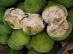 For a good overview of monk fruit, read this. Monk Fruit Sweetener Starts To Attract Big Guns In Us Food Market