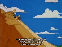 For No Good Reason GIFs - Find & Share on GIPHY