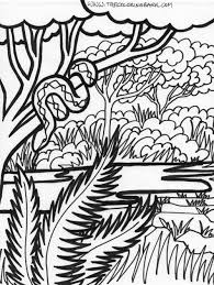 236x299 free printable leaf coloring pages for kids. Jungle Drawing Color Novocom Top