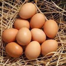 Telur ayam negeri yang bagus. Telur Ayam Negeri Asli Original Peternak Kiloan Pasar Murah Jakarta Shopee Indonesia