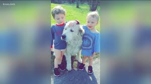 By order of the egyptian president, the containers were taken off the. Cedar Creek Family Devastated After Twin Boys Found Unresponsive In Pool Kvue Com