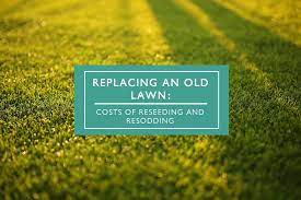 Example, the lawn mower guy can do most repairs under $60. How Much Does It Cost To Replace A Lawn Home Improvement Cents