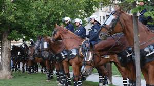 Све информације везане за израду намештаја и наруџбина можете. Aplauzi Za Policiju Koja Se Povlacila Niz Vlajkovicevu Ulicu