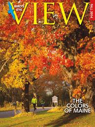 Birds Eye View Magazine Fall 2014 By Cape Airs Birds
