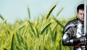 Prima pagină seminte cultura mare orzoaica de primavara 3 produse. Principalele Verigi Tehnologice La Cultura Cerealelor Paioase Agroind Cauaceu Sa