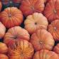 Amigurumi Crochet Pumpkins Workshop event image