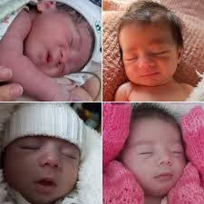 Beatriz Beck (@beatrizfpbeck) • Facebook