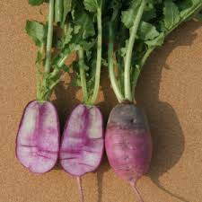 Homegrown Vegetables In 2 Months Or Less In 2020 Home Grown Vegetables Radish Vegetables