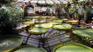 Neben dem weitläufigen außengelände befinden sich 15 schaugewächshäuser im botanischen garten, allen voran das große tropenhaus, das besucher mit palmen, riesenbambus und lianen in die pflanzenwelt zwischen. Das Sind Die Schonsten Botanischen Garten Deutschlands