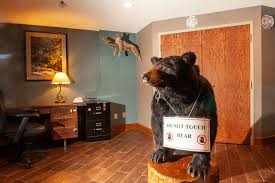 The more puzzles that that you include in your escape room, the trickier it becomes and the longer it will take to. Degray Lake Resort State Park Escape Room Arkansas State Parks