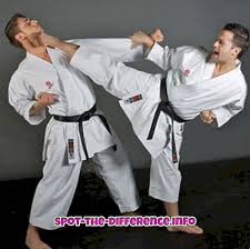 Open info card for karate. Perbedaan Antara Karate Dan Seni Bela Diri