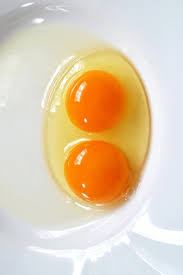 Double Yolk Egg Egg Facts Backyard Poultry Egg Laying Chickens