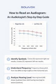 Image result for Audiogram