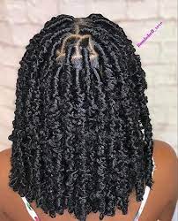 Related Posts Amazon Com In 2021 Natural Hair Styles Braided Hairstyles Twist Braid Hairstyles