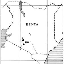 Image result for Riocreuxia chrysochroma