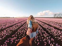 Tulips Netherlands Best Place To See Tulips In The Netherlands Photo Tulip Fields Netherlands Photography