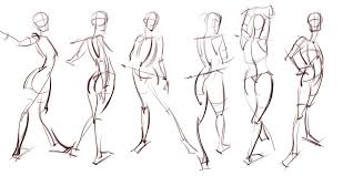 Anatomical drawings of the human body. Human Anatomy Drawing Pdf Anatomy Drawing Diagram