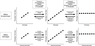 Morphological Homeostasis In The Fossil Record Sciencedirect