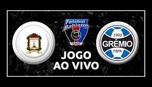 Hoje 11 de novembro de 2020 ás 19h00. Onde Assistir Ayacucho X Gremio Ao Vivo Pela Copa Libertadores
