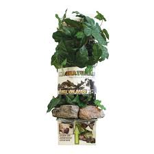 Plastic plants are safe and can be thoroughly sanitized in a manner that real plants in soil cannot survive. Best Plants For A Chameleon Cage Chameleon Safe Plants