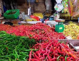 Kemudian hortikultura digunakan secara lebih luas bukan hanya untuk budidaya di kebun. Tomat Jendela Kaltara