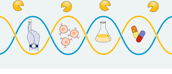 It needs to be read, stored, copied and otherwise manipulated by other biomolecules. Nuclease Resistance Of Dna Nanostructures Nature Reviews Chemistry