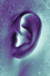 Was Ist Ein Tinnitus Tinnitus Krankheiten Hno Arzte Im Netz