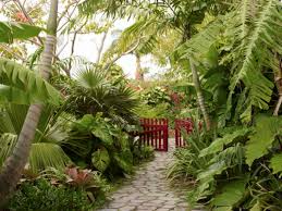 The Accidental Gardeners Artists Helen And Brice Marden In The Caribbean Gardenista Tropical Landscape Design Tropical Landscaping Tropical Garden Design