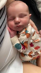 Profile for DASH Bartending