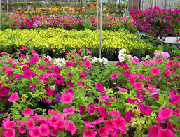 Maybe you would like to learn more about one of these? Wholesale Covingtons