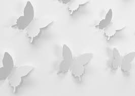 Butterfly wall decor: Where to buy ...