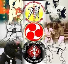 Karate Martialarts Shorinjiryu Martial Art Uniform Karate Patches Okinawan Karate