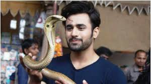Pearl v puri (born 10 july 1989) is an indian television actor. Pearl V Puri Height Weight Age Girlfriend Family Biography More Starsunfolded