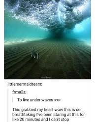 I Wonder If Sea Creatures Look At The Underside Of Waves Like We Look At Clouds Pictures Scenery Cool Pictures