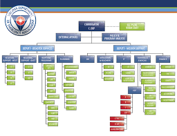 59 Symbolic Fema Org Chart