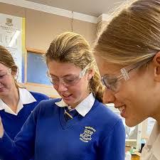 Lola Mccartney's Instagram, Twitter & Facebook