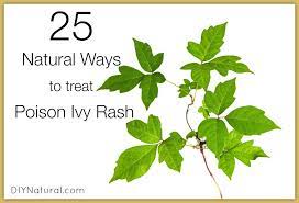 Even though poison ivy is poisonous to us, it's actually great for birds. Poison Ivy Treatment Along With 25 Other Natural Rash Remedies