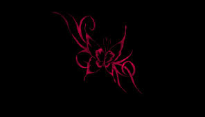 Free Download Pink Butterfly On Black Background By Missliss40 1177x678 For Your Desktop Mobile Tablet Explore 70 Black Butterfly Wallpaper Pink And Black Butterfly Wallpaper Download, share or upload your own one! black butterfly wallpaper