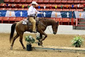 To build a turnpike, you border the muddy area with a box of logs, treated lumber (e.g. Build Your Own Trail Bridge Aqha