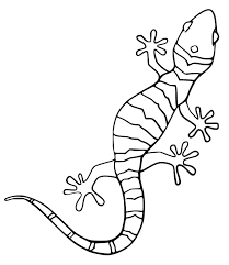 Gecko coloring pages, we have 6 gecko printable coloring pages for kids to download. Crawling Gecko Coloring Page Free Printable Coloring Pages For Kids