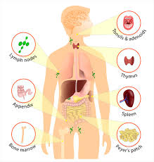 Citations may include links to full text content from pubmed central and publisher web sites. Alcohol Alert Number 89
