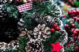Image result for xmas greetings images