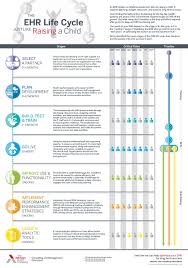 Learn More About The 7 Stages Of The Ehr Life Cycle Ehr Healthcare Technology Life Cycles
