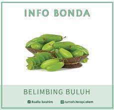 Buah gambar jus animasi daun hitam. Buah Belimbing Buluh Jamu Ratu Malaya Kuala Terengganu Facebook