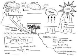 The Water Cycle Foldable Plus Vocabulary Sheets Free By Science Doodles Teacherspayteachers Com Water Cycle Worksheet Water Cycle Science Doodles