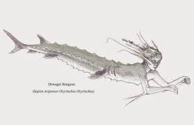 Sturgeon Mermaid From The Wabash River Wabash Art Mermaid