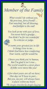 To My Pets Dog Poems Pet Poems Pet Loss Grief