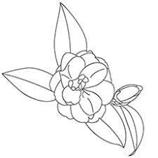 Top 47 Free Printable Flowers Coloring Pages Online
