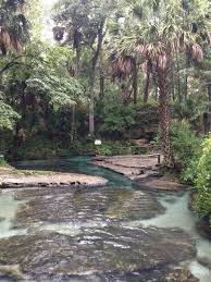 Rock Springs Run At Kelly Park In Apopka Florida Adventures Florida Travel Florida Springs